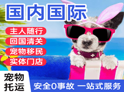 东极机场货运国际宠物托运 【国